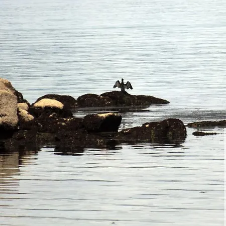 Nuevo Norat Sanxenxo