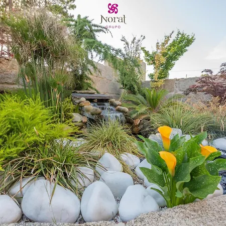 Nuevo Norat Gasthuis 3*