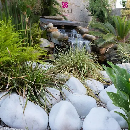 Nuevo Norat Gasthuis Sanxenxo