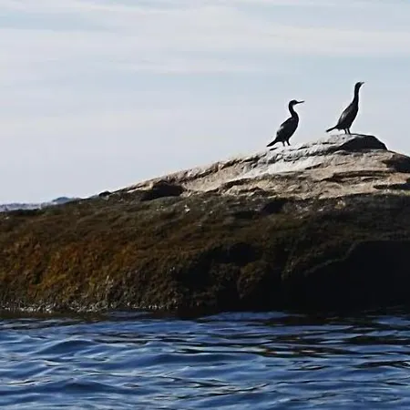 Gasthuis Nuevo Norat 3*