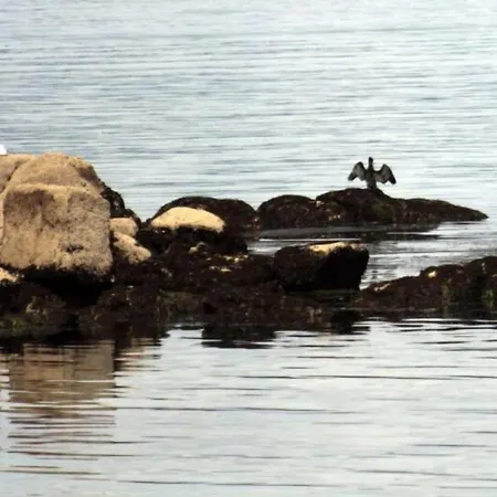 Nuevo Norat Sanxenxo