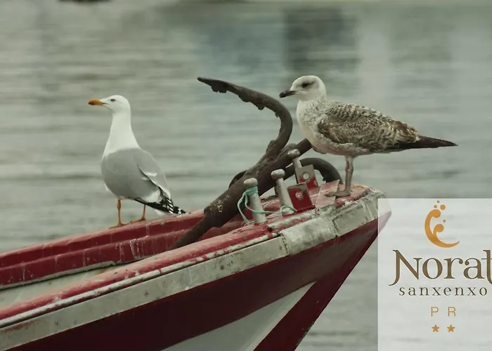 Vendégház Nuevo Norat Sanxenxo