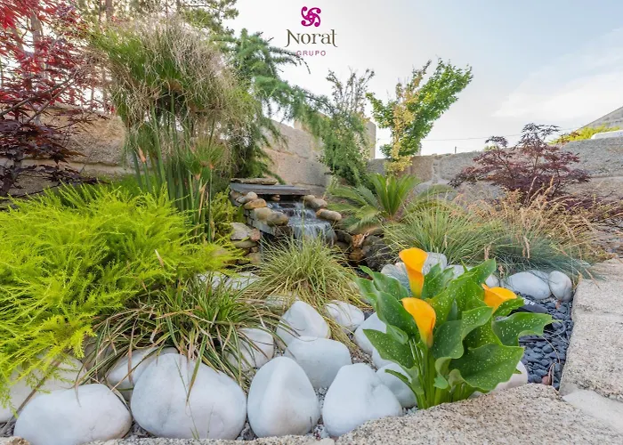 Nuevo Norat Guest house 3*