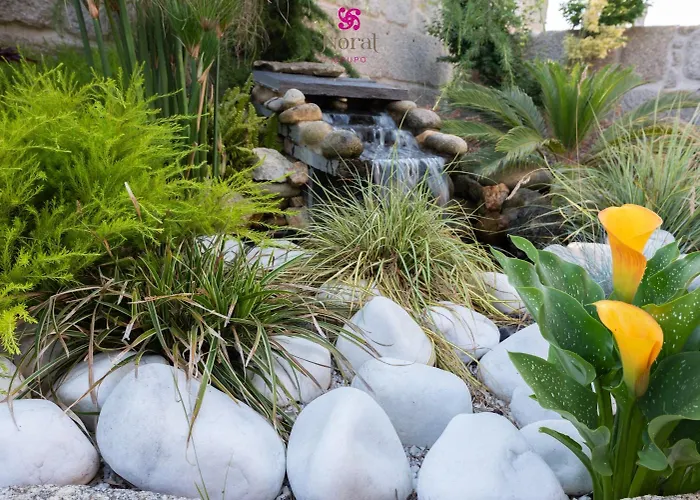 Nuevo Norat Guest house Sanxenxo