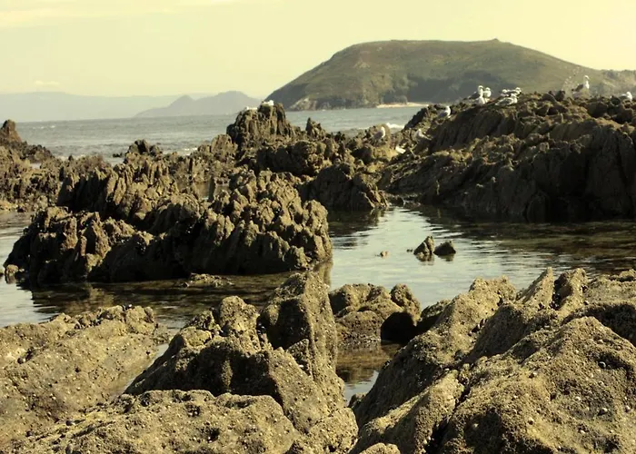 Guest house Nuevo Norat 3*