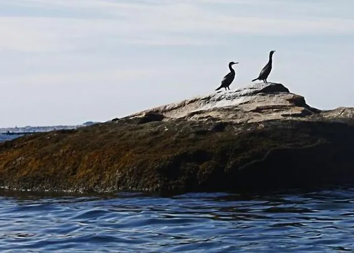 Vendégház Nuevo Norat 3*