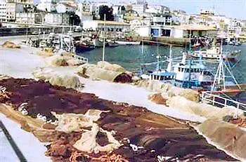 Vendégház Nuevo Norat 3*